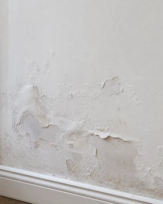 Paint peeling due to damp