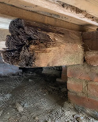 Rotten floor timber beneath a property